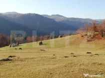 Teren de vanzare, Scarisoara, ideal pentru cabana