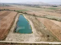 Teren 8.700 mp cu baltă piscicolă, 5.500 mp luciu de apă