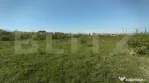 Teren 1000 mp, Buna Ziua, PUZ in derulare