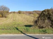 Teren Intravilan langa Dunare! Disponibil la 15 Euro/mp 