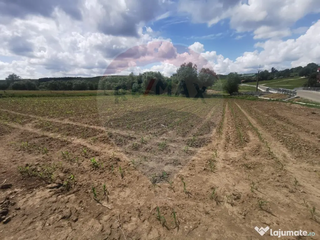 DE VÂNZARE TEREN INTRAVILAN SAU PARCELA – Șomcuta Mar...