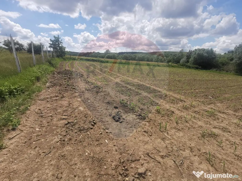 DE VÂNZARE TEREN INTRAVILAN SAU PARCELA – Șomcuta Mar...