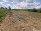 DE VÂNZARE TEREN INTRAVILAN SAU PARCELA – Șomcuta Mar... 