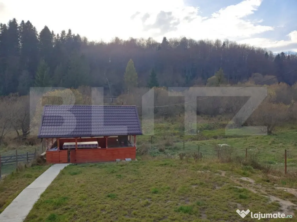 Pensiune, zona superba Paltinoasa!