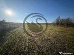 Teren intravilan de vanzare | 12.650 mp | Ghirdoveni, | C...