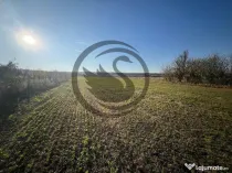 Teren intravilan de vanzare | 12.650 mp | Ghirdoveni, | C...