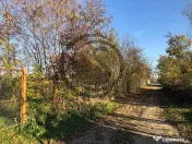 Teren intravilan de vanzare | 12.650 mp | Ghirdoveni, | C... 