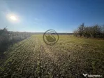 Teren intravilan de vanzare | 12.650 mp | Ghirdoveni, | C...