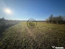 Teren intravilan de vanzare | 12.650 mp | Ghirdoveni, | C...