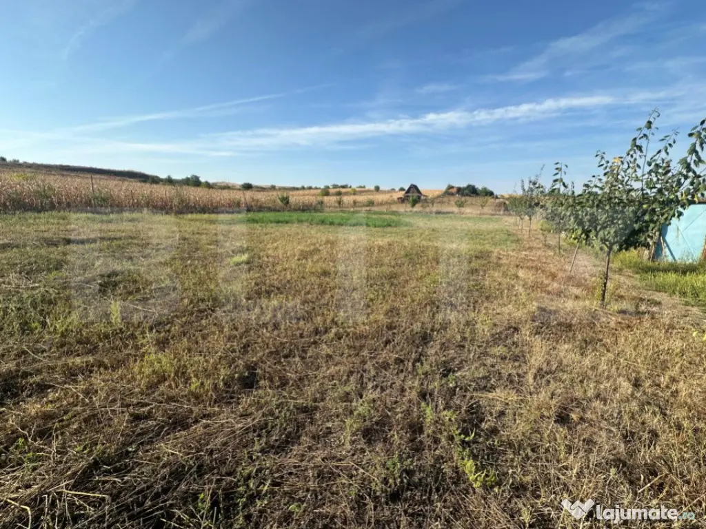 Teren extravilan, 500 mp, Oarda de Jos