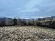 Teren extravilan 4300 mp, zona Criseni - Paclisa