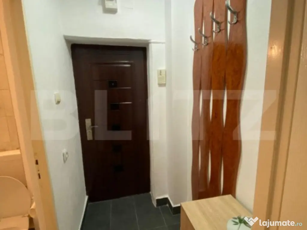 Garsoniera de inchiriat, 27 mp, Calea Moldovei