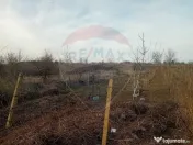 Teren 2,301mp Carcea / Aleea Tarlaua 37 Parcela 63 