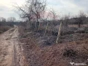 Teren 2,301mp Carcea / Aleea Tarlaua 37 Parcela 63 