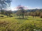 Teren zona superba Șișești 