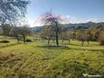 Teren zona superba Șișești
