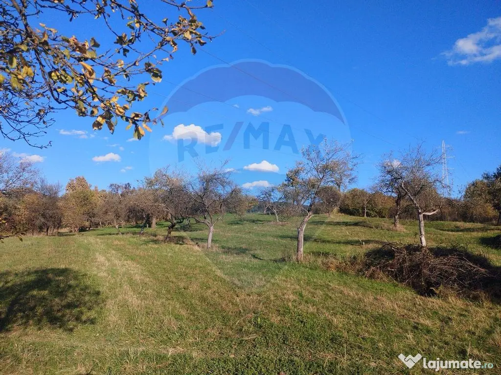 Teren zona superba Șișești