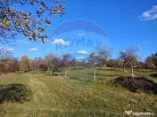 Teren zona superba Șișești 