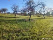 Teren zona superba Șișești 