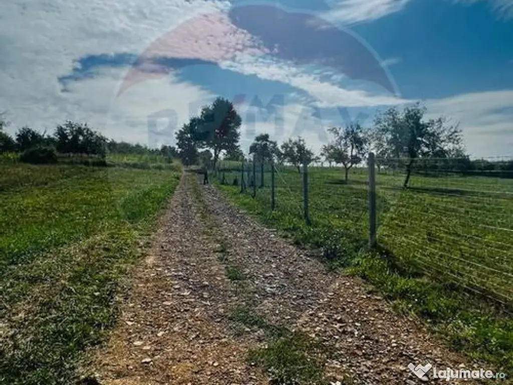 Teren zona superba Șișești