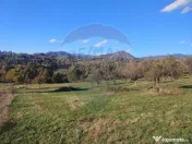 Teren zona superba Șișești 