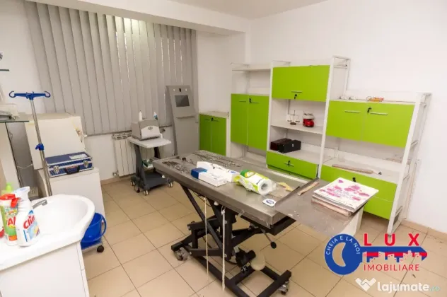 ID 6134 DE VANZARE SPATIU ULTRACENTRAL