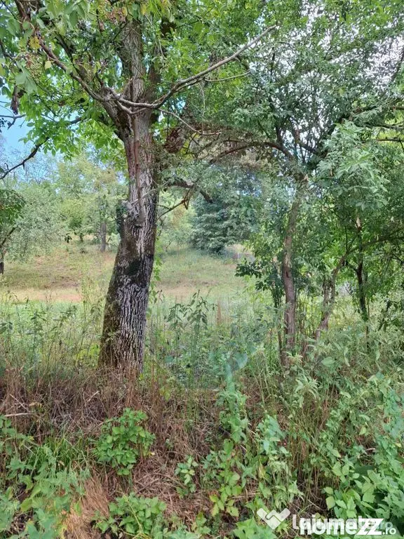 Teren construibil de vânzare 990mp în Barzava, județul...