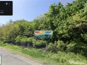 Teren Padure 6.500 mp., la strada, zona Cucorani! 
