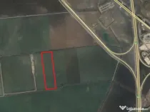 Teren 16.434mp, intravilan, Tunari-Lacul Pasarea