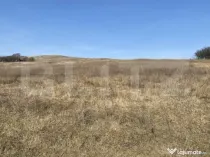 Teren extravilan in suprafata de 140551 mp in loc. Recea