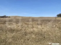 Teren extravilan in suprafata de 140551 mp in loc. Recea