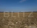 Teren intravilan de vanzare,2900mp - Soseaua de centura