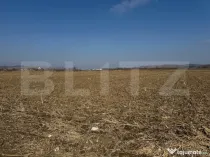 Teren intravilan, 2900 mp, zona Soseaua de centura