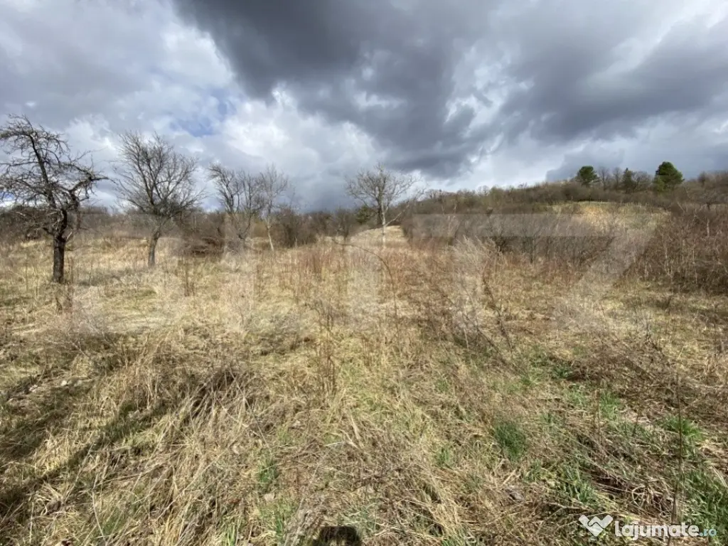 Teren intravilan in suprafata de 2000 mp, zona Episcopiei