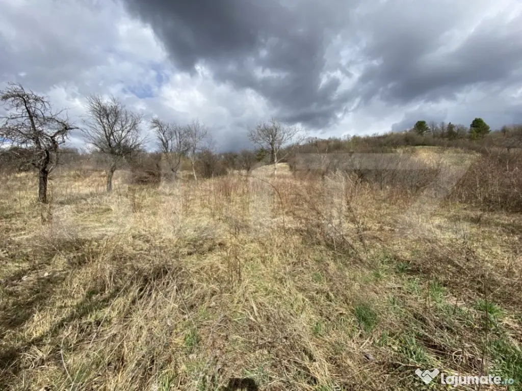 Teren intravilan in suprafata de 2000 mp, zona Episcopiei