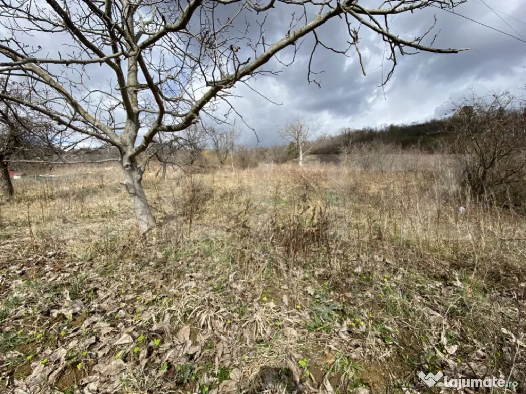 Teren intravilan in suprafata de 2000 mp, zona Episcopiei