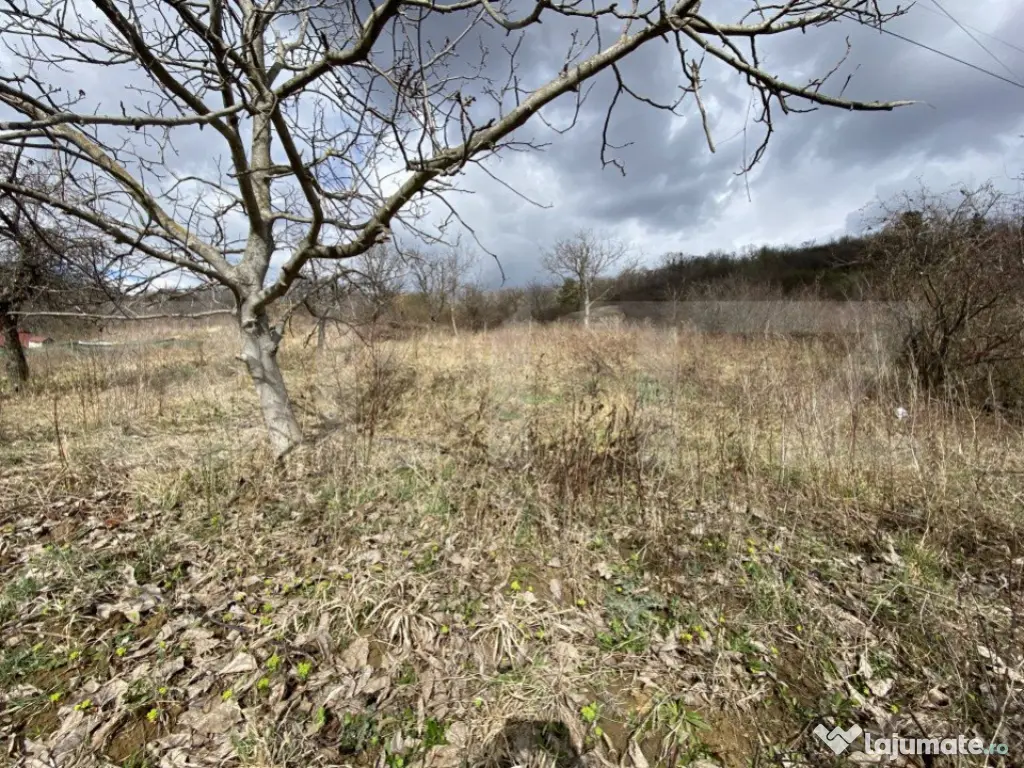 Teren intravilan in suprafata de 2000 mp, zona Episcopiei
