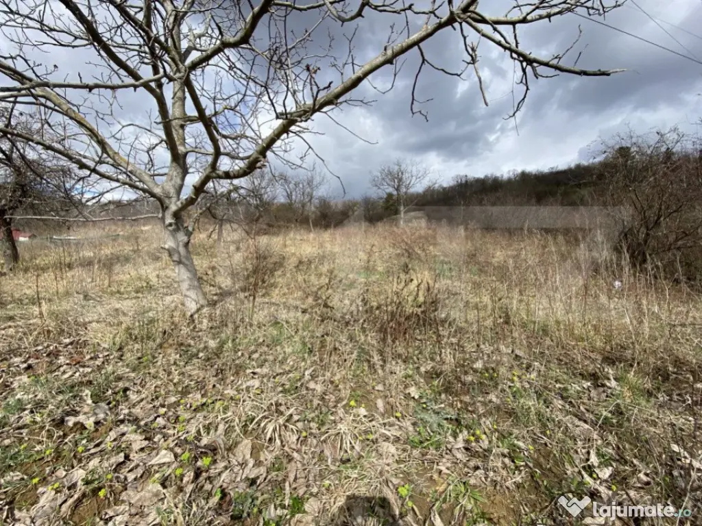 Teren intravilan in suprafata de 2000 mp, zona Episcopiei