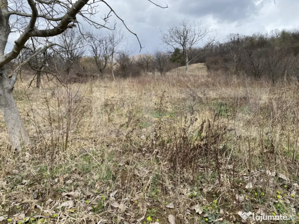 Teren intravilan in suprafata de 2000 mp, zona Episcopiei