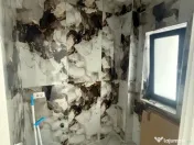 Vanzari Case / vile ILFOV - SUD BERCENI COMUNA 