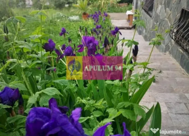Vilă de vânzare în Poiana Câmpina