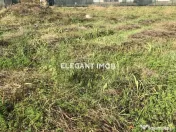 Teren deosebit in Paradisul Verde 