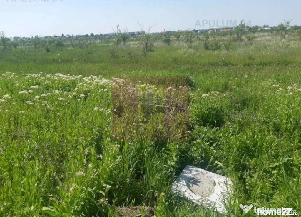 Teren bun mare și ieftin - Pantelimon (Bucuresti-Ilfov)