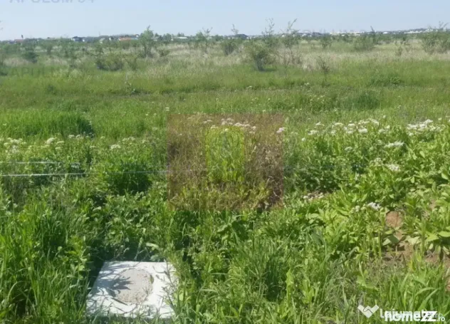 Teren bun mare și ieftin - Pantelimon (Bucuresti-Ilfov)