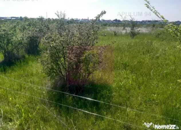 Teren bun mare și ieftin - Pantelimon (Bucuresti-Ilfov)