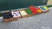 Rasad tomate, rosii, castraveti, ardei, vinete, varza - rasaduri 2026 