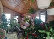 Casă 2020, parter+pod, garaj, magazie, curte 420 mp, Săbăreni 
