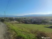 Teren intravilan cu proiect de casa autorizat in Sura Mare 