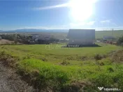 Teren intravilan cu proiect de casa autorizat in Sura Mare 
