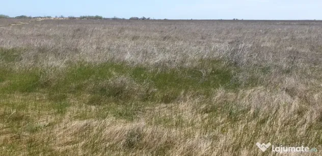 Teren langa plaja Vadu